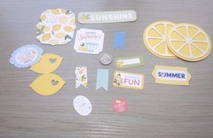 Lemon Baby Shower Lemon Slice Yellow Gray One Piece Carta Bella Lemon Die Cuts