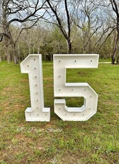 Marquee Numbers 0-9 Frame with Lights 3ft