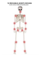 Halloween Oversized Poseable Full Life Size Human Skeleton Decoration