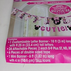 Minnie Mouse Birthday Banner Pink Customizable 10 ft long Disney Junior NEW