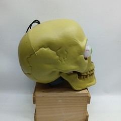 SKULL HEAD LIGHT UP EYES Halloween Prop Skeleton Tested, Eyes Change Colors