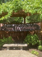 Sweet 16 Party Decor Very Long Pink / Black, W/ Grommets H = 1’6” x L = 9’8”