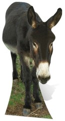Donkey Lifesize Cardboard Cutout Fun Figure 122cm Tall – Great at your Party