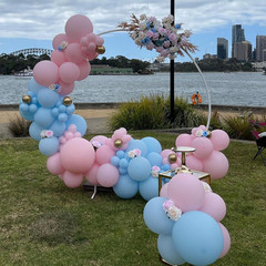 Pink and Blue Balloons Garland Arch Kit, 134Pcs Gender Reveal Balloon Garland Ar