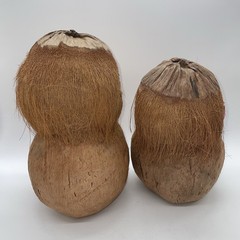 Hawaiian Coconut Shell Maraca Woman Musician Tiki Bar Luau Party, Lot Of 2
