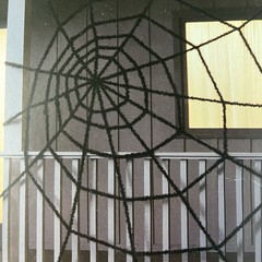 Spider Web Halloween Set 176 Pieces Snakes Centipedes Spiders Haunted Decor New