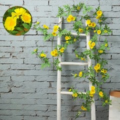 185cm Silk Daisy Vine with Flexible Stems for Vertical Garden and Wall Hanging