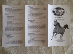 PARTY SUPPLIES: 2004 Birthday Express HORSE POWER Design Set, Kids Play Fun