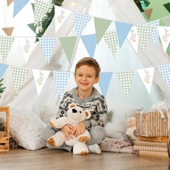 5 Pcs One Silly Goose Birthday Party Decorations Blue Green Gingham Print Pen…