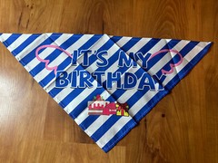 Pet Dog Birthday Party Decorations Banner Bandana Hat Balloons