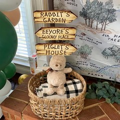 Winnie The Pooh Party Signs, 20Pcs Directional Arrows, Shower, Brown