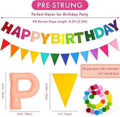 Pre-Strung Rainbow Happy Birthday Banner Set Felt Garland Party Decor