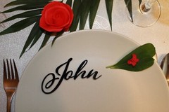 Personalized Wedding Place Cards Acrylic Table Name Calligraphy Wedding Any Font