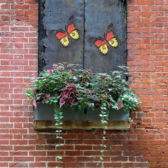 Intricate Iron Butterfly Wall Art Pieces Decorations for Home or Garden Areas