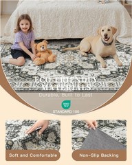 Madane Washable Area Rug 2×4, Small Entryway 2′ x 4′ (Rectangular), Black