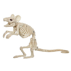 Mouse Standing Skeleton – Morris Costumes