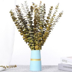 20 PCS Dried Eucalyptus Stems, 17» Natural Real Live Yellow