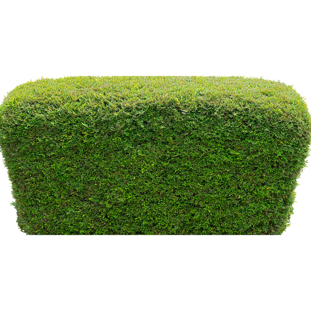 SP13310 Trimmed Bush Square Rectangular Garden Plant Prop Cardboard Cutout Stand