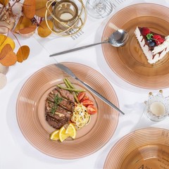 FLOWERCAT 100PCS Clear Brown Plastic Plates – Heavy Duty Plastic Plates Dispo…