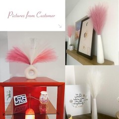 Serwalin Pampas Grass Pink Decor 17.7 17 Inch 6 Pcs, A Blush & Cream &