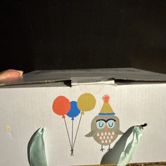 Lucy Darling- Party Animal- Party In A Box (opened see description)