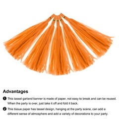 30Pcs Dark Orange Tassel Garland Banner with Rope