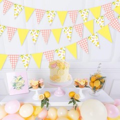 Lemon Party Decorations – 3PCS Lemon Bunting Banners, Pink and Yellow Lemon T…