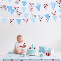 32Ft Blue Gingham Cheery Pennant Banner Fabric Triangle Flag Garland Streamer…