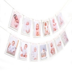 MADENG DIY First Year Monthly Photo Banner, Baby Girls One Year Pink Scallope…