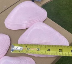 Jumbo Shells Gender Reveal , Baby Shower , Decor , Centerpiece, Craft Pink (6)