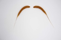 Self Adhesive Chinese Fake Mustache, Novelty, False Facial Hair, Costume Acce…