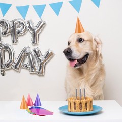 10 Pcs Mini Birthday Party Hats Multicolor Paper Cone Hats for Kids Girls Pet…