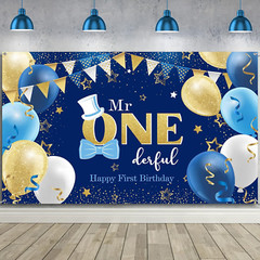Irenare Boys 1St Birthday Decoration Mr. Onederful Birthday Party Supplies Boy 1
