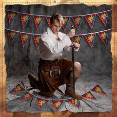 6 Pcs 72 ft Medieval Fantasy Pennant Banner with Lion Design Medieval Party D…