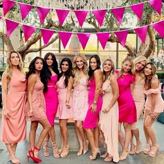 Hot Pink Party Decorations Triangle Pennant Banner Flag Rose