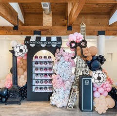 Paris Party Decorations, Pastel Pink Black Balloons with Black Bow Camellia F…