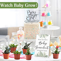 50 Sets Baby Shower Party Favors Succulent Tags with Wooden Table Sign – Cact…