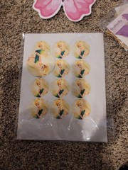 Tinkerbell Party Decor Used