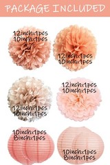 Hanging Party Decorations Tissue Paper pom poms and Lanterns Backdrop Decor
