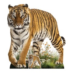 Tiger Prowling Animal Cardboard Cutout 93cm Tall and Free Mini Standee Wildlife