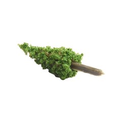 40x Mixed Model Trees With Base For Train Railroad Diorama Models Train Scenery