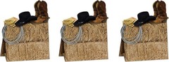 Authentic 3-D Western Centerpiece Set – Perfect for Country Weddings & Parties