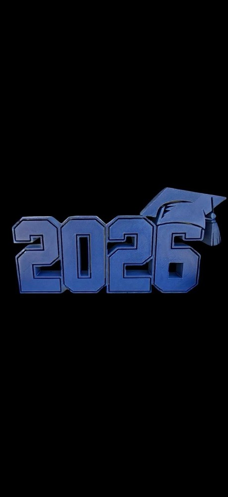 2026 Graduation Party Table Decor / Centerpiece