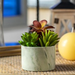 Karlliu Artificial Plants Cute Colourful Succulents in 4×4 inch, Colorful