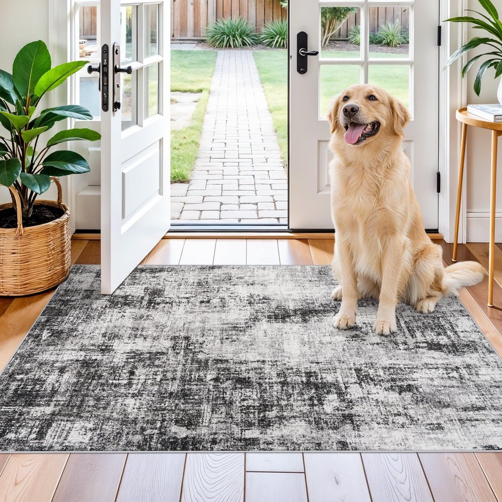 BYYVOO Washable 3×4 Entryway Rug: Modern 3′ x 4′ (Rectangular), Black