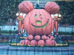 Halloween Pumpkin Mickey Mouse Party Background 7ft X 5ft Picture Backdrop New