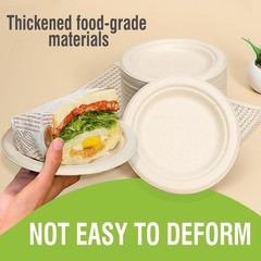 6 Inch Small Paper Plates Disposable – Biodegradable Compostable Appetizer Pl…