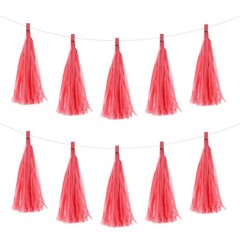 30Pcs Light Red Tassel Garland Banner with Rope