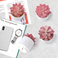 ZENIDA Succulent Artificial Plants,Cute Fake 2.2″ x 2.4″ x 3.3″, White