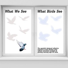 Large Size Anti-Collision Window Clings – Translucent/Dusted Bird Deterrent f…